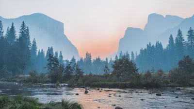 body of water surrounded by trees